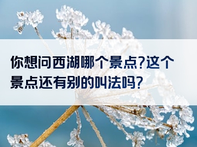 你想问西湖哪个景点？这个景点还有别的叫法吗？