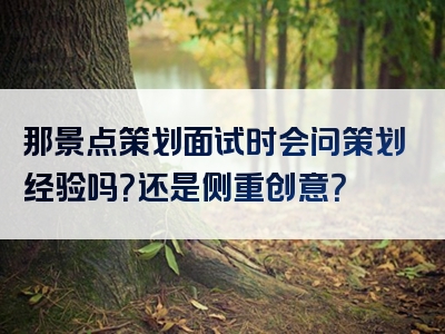 那景点策划面试时会问策划经验吗？还是侧重创意？