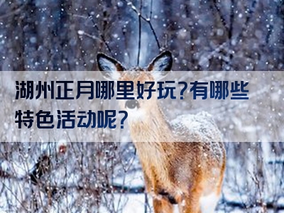 湖州正月哪里好玩？有哪些特色活动呢？