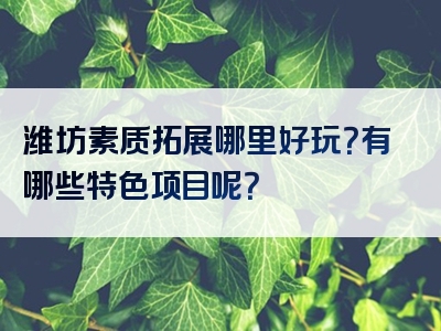 潍坊素质拓展哪里好玩？有哪些特色项目呢？