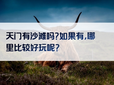 天门有沙滩吗？如果有，哪里比较好玩呢？