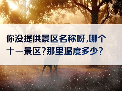 你没提供景区名称呀，哪个十一景区？那里温度多少？