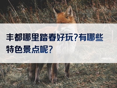 丰都哪里踏春好玩？有哪些特色景点呢？