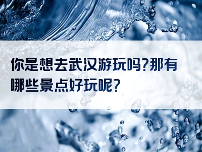 你是想去武汉游玩吗？那有哪些景点好玩呢？