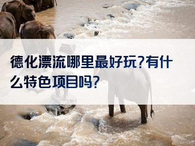 德化漂流哪里最好玩？有什么特色项目吗？