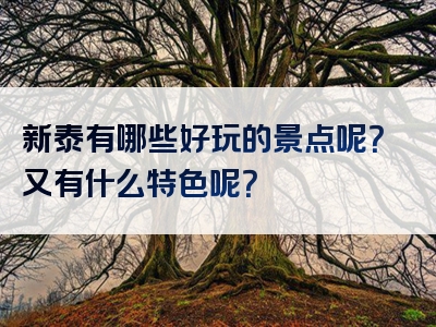 新泰有哪些好玩的景点呢？又有什么特色呢？