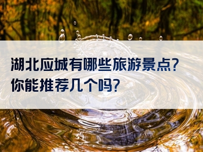 湖北应城有哪些旅游景点？你能推荐几个吗？