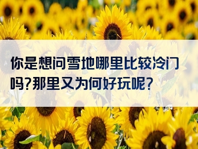 你是想问雪地哪里比较冷门吗？那里又为何好玩呢？