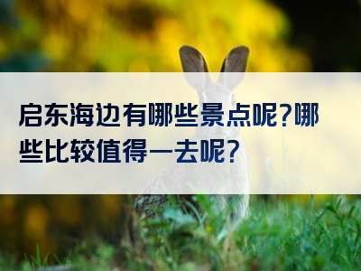 启东海边有哪些景点呢？哪些比较值得一去呢？