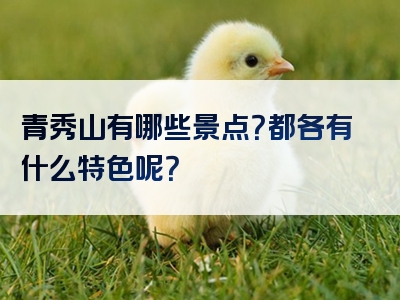 青秀山有哪些景点？都各有什么特色呢？