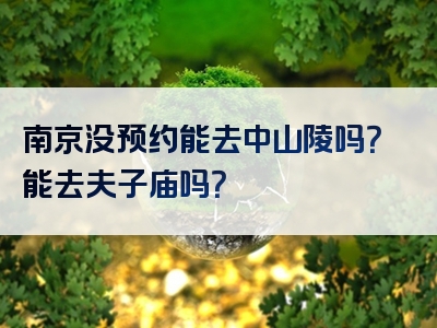 南京没预约能去中山陵吗？能去夫子庙吗？