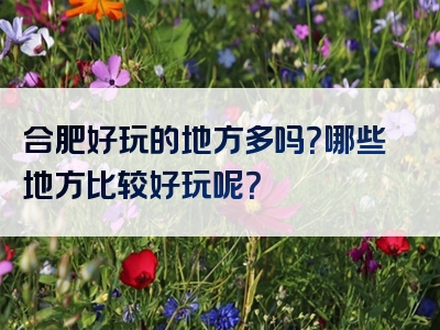 合肥好玩的地方多吗？哪些地方比较好玩呢？