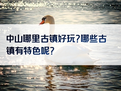 中山哪里古镇好玩？哪些古镇有特色呢？
