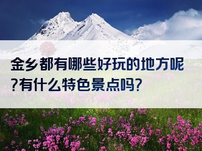 金乡都有哪些好玩的地方呢？有什么特色景点吗？