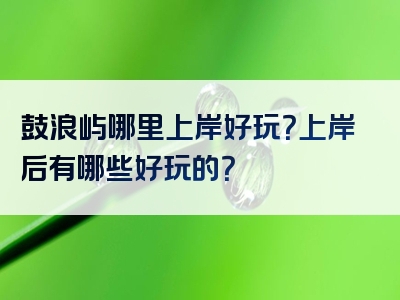 鼓浪屿哪里上岸好玩？上岸后有哪些好玩的？