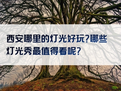 西安哪里的灯光好玩？哪些灯光秀最值得看呢？