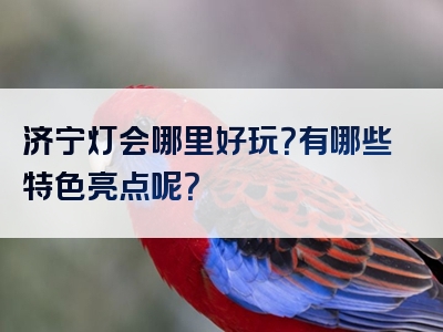 济宁灯会哪里好玩？有哪些特色亮点呢？