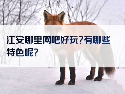 江安哪里网吧好玩？有哪些特色呢？