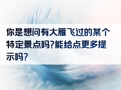 你是想问有大雁飞过的某个特定景点吗？能给点更多提示吗？
