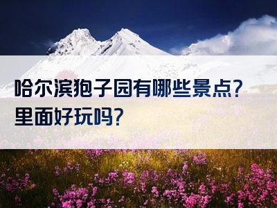 哈尔滨狍子园有哪些景点？里面好玩吗？