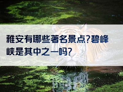 雅安有哪些著名景点？碧峰峡是其中之一吗？