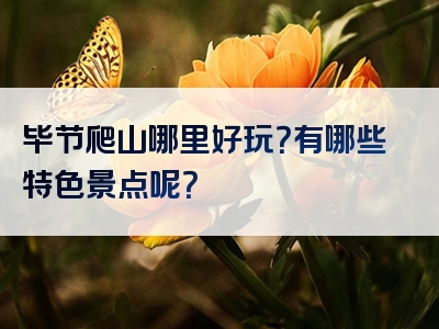 毕节爬山哪里好玩？有哪些特色景点呢？