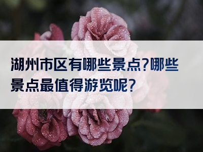 湖州市区有哪些景点？哪些景点最值得游览呢？