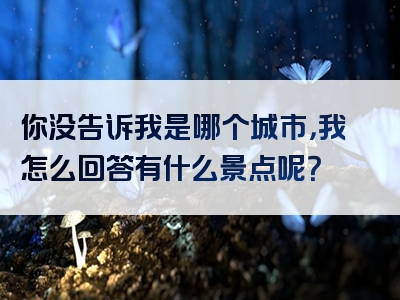你没告诉我是哪个城市，我怎么回答有什么景点呢？