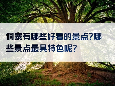 侗寨有哪些好看的景点？哪些景点最具特色呢？