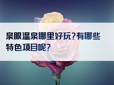 泉眼温泉哪里好玩？有哪些特色项目呢？