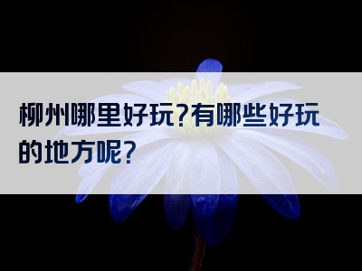 柳州哪里好玩？有哪些好玩的地方呢？