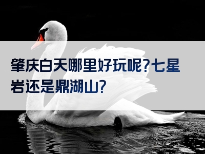 肇庆白天哪里好玩呢？七星岩还是鼎湖山？