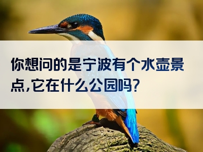 你想问的是宁波有个水壶景点，它在什么公园吗？