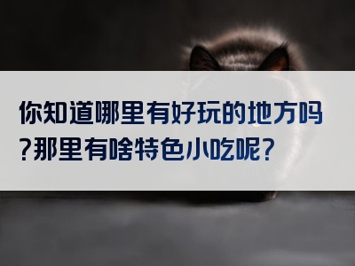你知道哪里有好玩的地方吗？那里有啥特色小吃呢？