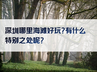 深圳哪里海滩好玩？有什么特别之处呢？