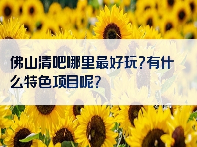 佛山清吧哪里最好玩？有什么特色项目呢？