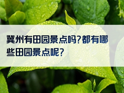 冀州有田园景点吗？都有哪些田园景点呢？