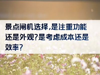 景点闸机选择，是注重功能还是外观？是考虑成本还是效率？