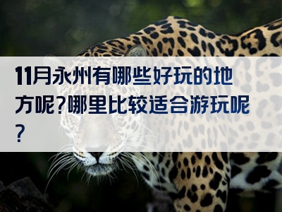 11月永州有哪些好玩的地方呢？哪里比较适合游玩呢？