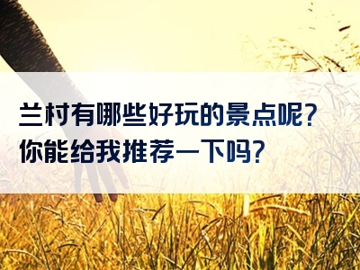 兰村有哪些好玩的景点呢？你能给我推荐一下吗？