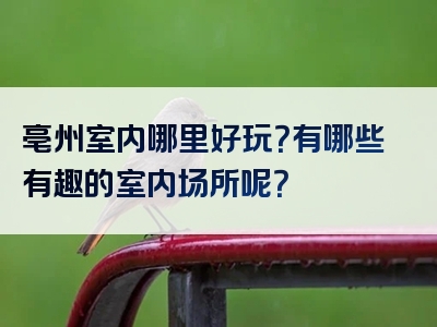 亳州室内哪里好玩？有哪些有趣的室内场所呢？