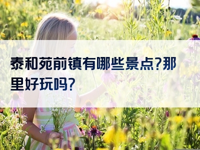泰和苑前镇有哪些景点？那里好玩吗？
