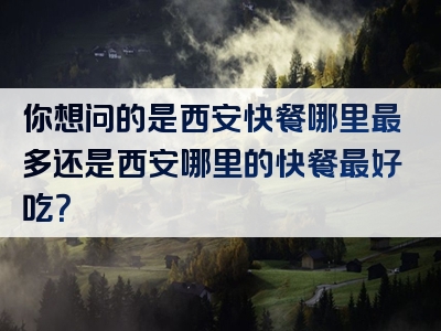 你想问的是西安快餐哪里最多还是西安哪里的快餐最好吃？