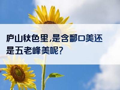 庐山秋色里，是含鄱口美还是五老峰美呢？