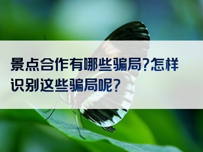 景点合作有哪些骗局？怎样识别这些骗局呢？