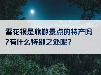 雪花银是旅游景点的特产吗？有什么特别之处呢？