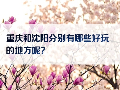 重庆和沈阳分别有哪些好玩的地方呢？
