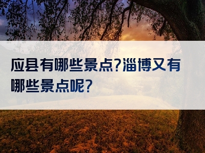 应县有哪些景点？淄博又有哪些景点呢？