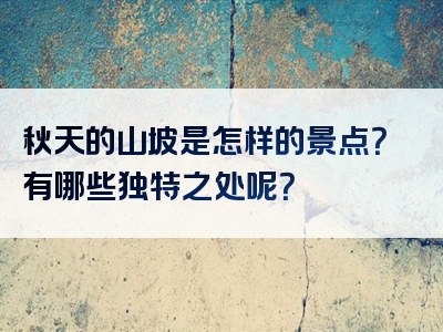 秋天的山坡是怎样的景点？有哪些独特之处呢？