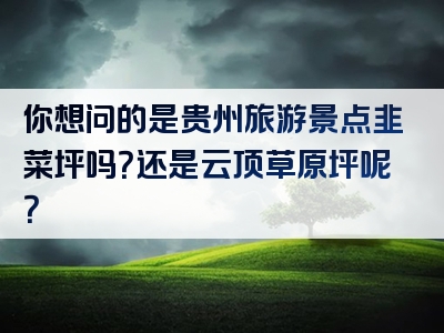 你想问的是贵州旅游景点韭菜坪吗？还是云顶草原坪呢？